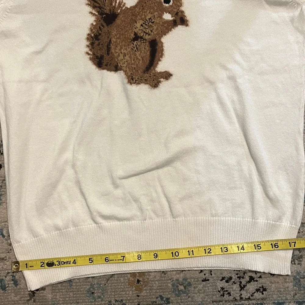 NWT Anthro Maeve Textured Squirrel Icon Sweater - Picture 9 of 16